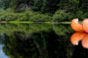 Nature et Amérindiens