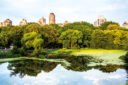 New York skyline